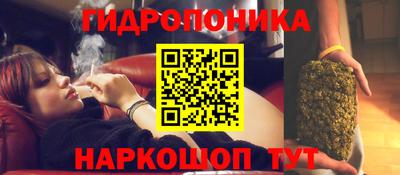 прущая мука Будённовск