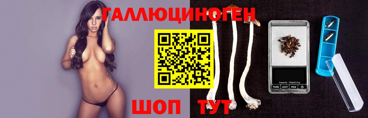 магазин    Псилоцибиновые грибы Cubensis  Вход с VPN  Псилоцибиновые грибы Cubensis  Корсаков 